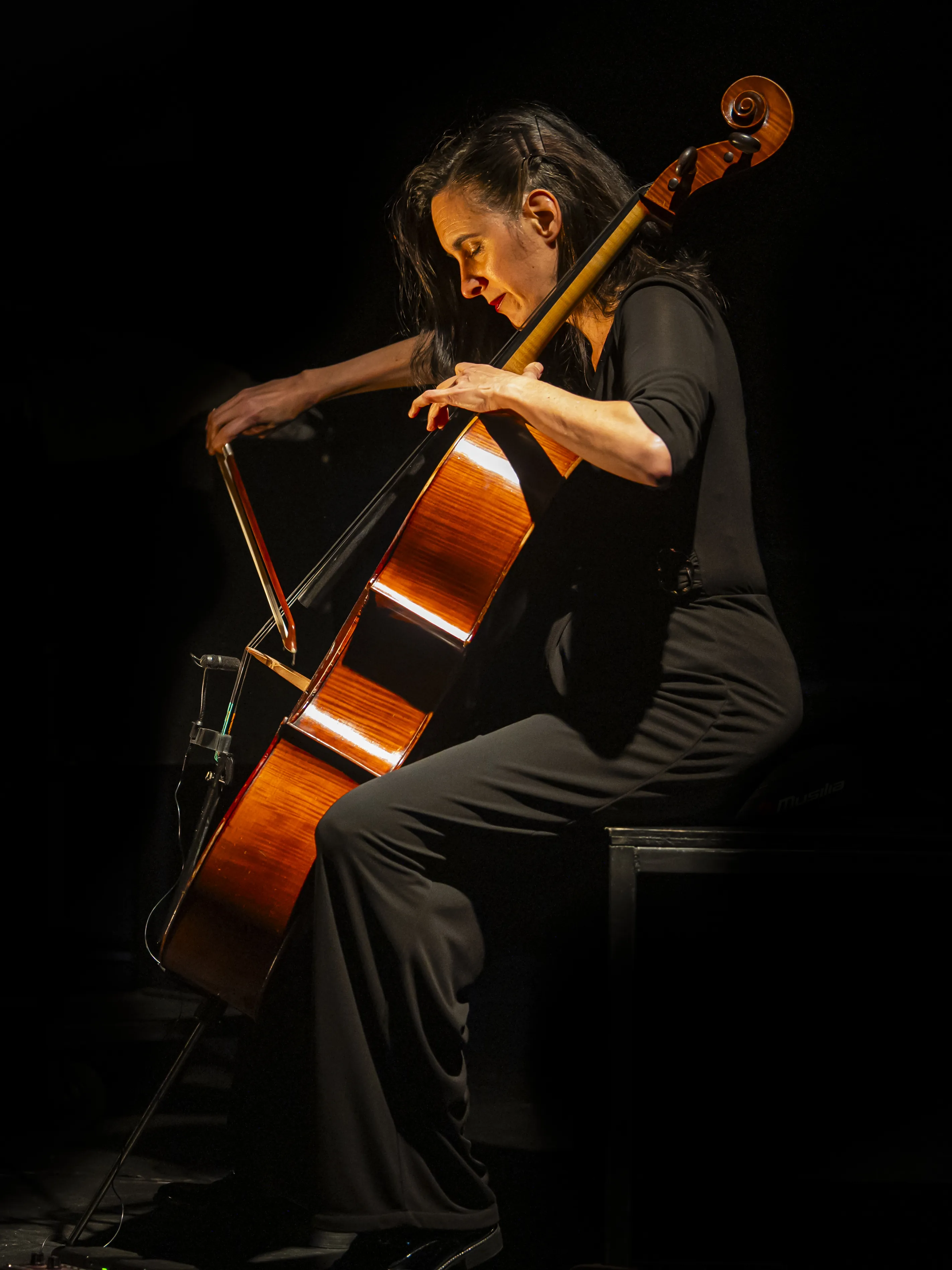 Photographe événementiel, concert live en Hauts-de-France