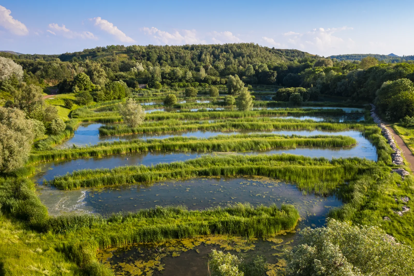 Vue drone d'un parc naturel dans le bassin minier
