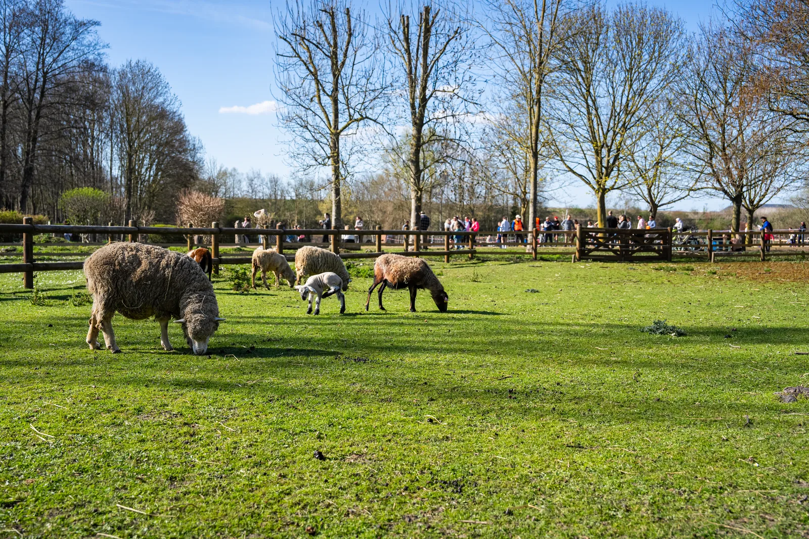 Photographe collectivité, ferme pédagogique du bassin minier
